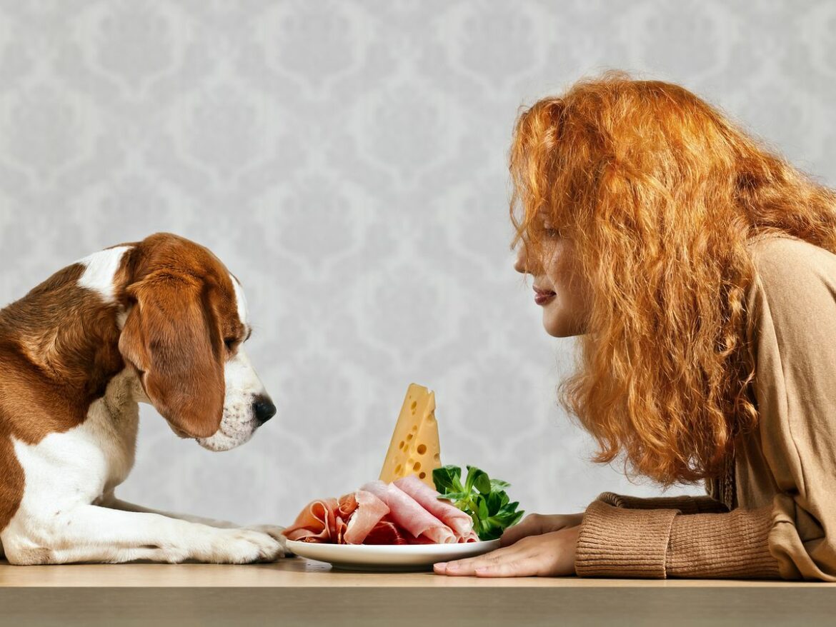 Can Dogs Eat Ham? Is Ham Safe For Dogs?