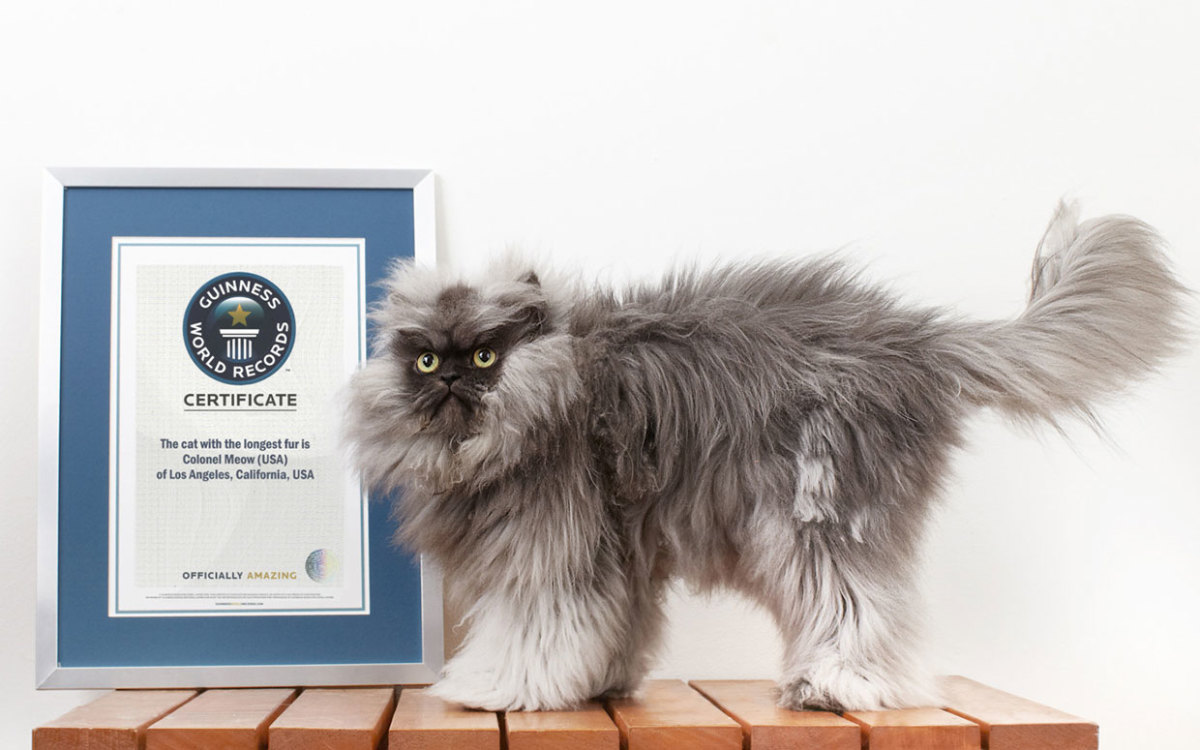 Guinness World Records