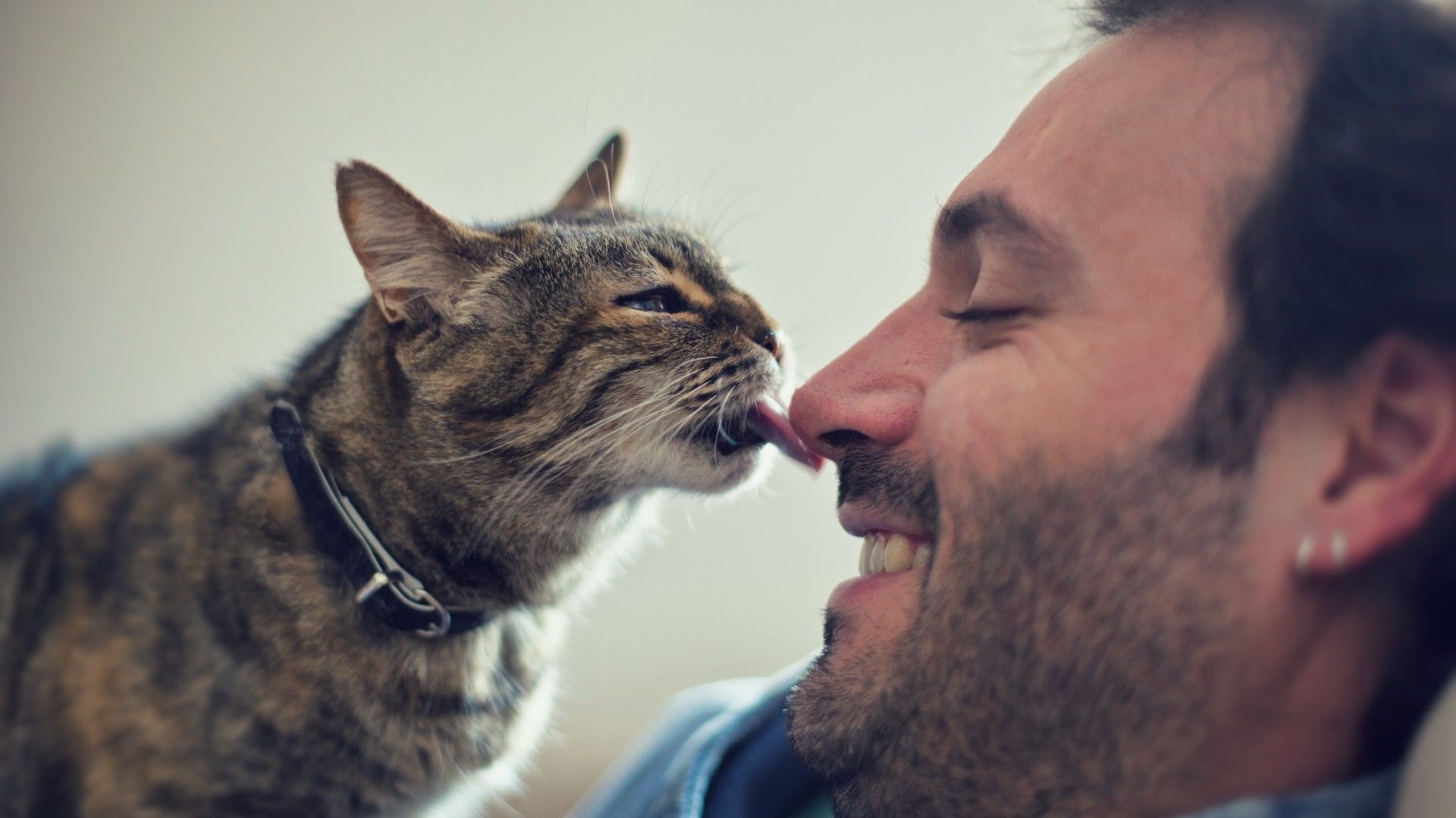 My Cat Lick Me 1